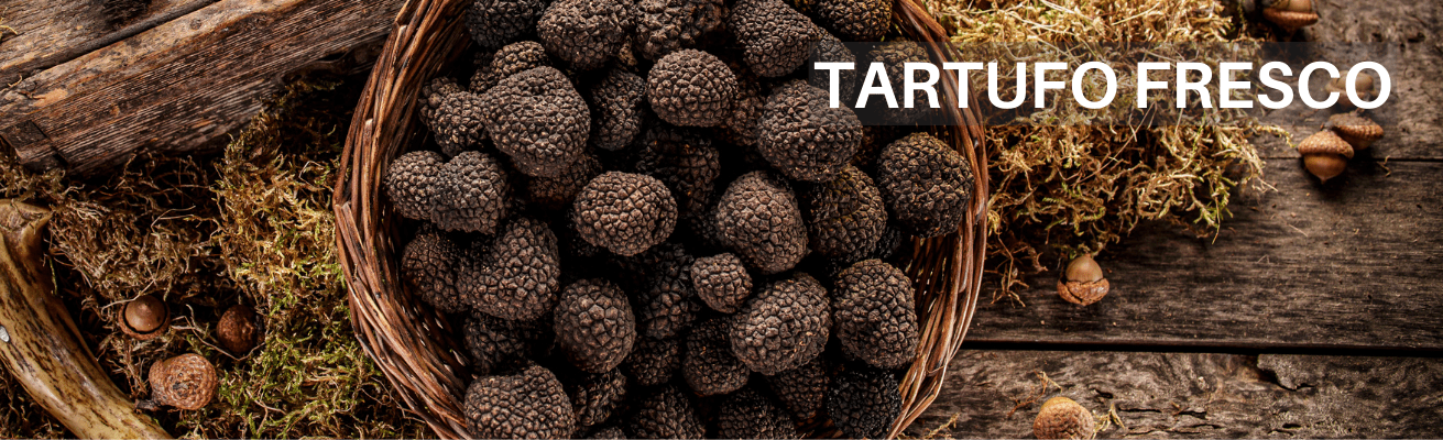 ACQUISTA TARTUFO FRESCO